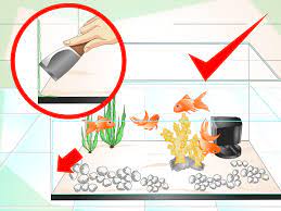 Measure the nitrates using a water test kit to determine how much water. 3 Ways To Keep Aquarium Water Clear Wikihow