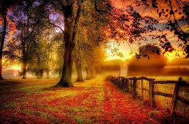 Image result for autumn photos