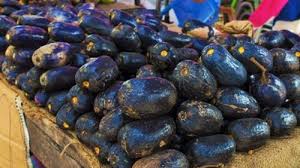 Check spelling or type a new query. No Plums Are Different From Safou