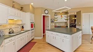 i paint or refinish my kitchen cabinets