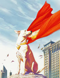 Dccomics Comics Dc Superman Dog Krypto In 2020 Superman Wallpaper Superman Cartoons Comics