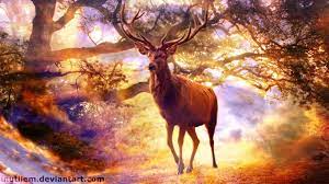 1366x768 Free Screensaver Wallpapers For Animal Wallpaper Backgrounds Animals Background Images