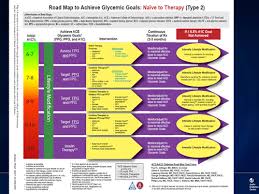 type 2 diabetes optimizing treatments and patient outcomes