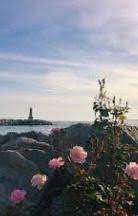 صور خلفيات شاشه جوال للبنات كيوت وجميلة سوداء ايفون background images background images background image