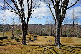 たじみ百景脇之島中央公園本ケヤキの丘空が広がり空の変化が楽しめます春日井三山道樹山429ｍ大谷山425ｍ弥勒山437ｍも見えます 多治見 たじみ百景 tajimi100k 多治見から見える山々 春日井三山 脇之島中央公園 夕暮れ たじみ発見インスタ country roads tree