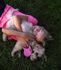 Check spelling or type a new query. We Didn T Want To Co Parent A Puppy The New York Times