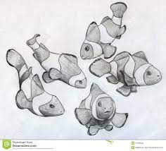 Fish Sketch Clown Fish Fish Drawings