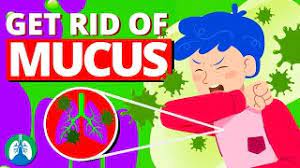 How To Get Rid Of Mucus And Phlegm In Your Lungs - Youtube