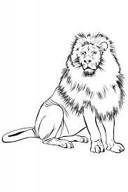 Daca doriti si imagini cu animale domestice apasati click aici ! Desene Cu Animale Salbatice De Colorat Imagini È™i PlanÈ™e De Colorat Cu Animale Salbatice