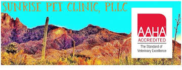 Sunrise pet hospital in anaheim hills, california was established in 1998 and has been under the ownership of dr. Sunrise Pet Clinic Pllc Home Facebook