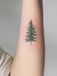 Top 21 tree of life tattoo designs with their interpretations. 25 Intricate Tree Tattoos For Men In 2021 The Trend Spotter