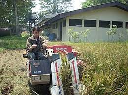 Meningkatkan hasil dari produksi pertanian. Teknologi Pertanian M Ashof Sulaiman