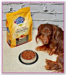 Best Dog Food At Walmart Reddit I Ve Always Fed My Dogs Blue Buffalo But It S Not Cheap With Money Dog Food Recipes Best Dog Food Sensitive Stomach Cat Food