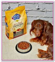 There are two ways that you feed your cat the this article will discuss. Best Dog Food At Walmart Reddit I Ve Always Fed My Dogs Blue Buffalo But It S Not Cheap With Money Being Dog Food Recipes Best Dog Food Grain Free Dog Food