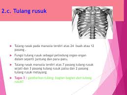 Check spelling or type a new query. Anugerah Inovasi Propinsi Lampung Ppt Download