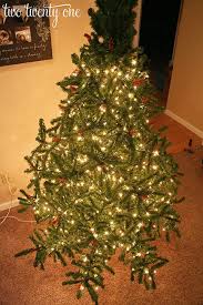How To Put Lights On A Christmas Tree Two Twenty One Holiday Christmas Tree Indoor Christmas Lights Hanging Christmas Lights