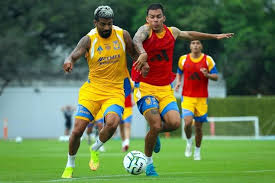 Tigres, desairados y sin refuerzos