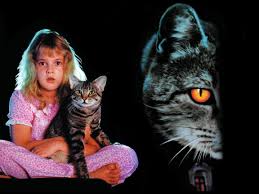 Cat S Eye Cats Eye Movie Cats Stephen King