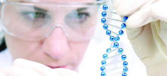 Little Prince's DMD Adventure (@M_V_A_C_)