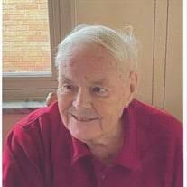 Alan Roy Milner Obituary (2024)