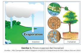 Evaporasi kali ini dilakukan pada suatu larutan yaitu hasil ekstrak yang dihasilkan dari proses maserasi dengan bahan baku cabe yang ukurannya berbeda. Waterbending Evapotranspiration Syalaladumdum