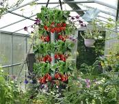 Learn How & Create Your Own Hanging Garden Bag...