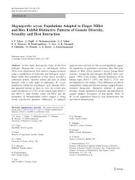 Image result for Isachne kiyalaensis