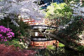 Pin On Japanese Garden