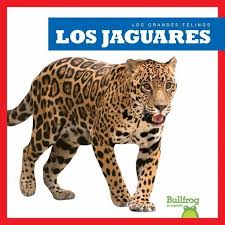 Includes, fixtures, results, squads, team news and stadium ticket info. Los Jaguares Jaguars Von Marie Brandle Portofrei Bei Bucher De Bestellen