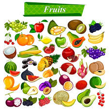 Eps File Fruits Differents Vecteur Materiel Telechargement Gratuit Nom Materiel De Vecteur De Differents Fruits Source De Fruit Vector Different Fruits Fruit