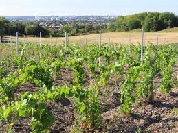 France bleu et france 3 grand est proposent ce mercredi 9 juin à partir de 21h le débat du premier tour des élections régionales avec six têtes de liste. Regionales En Ile De France Un Debat Sur L Agriculture Entre Cinq Representants Des Listes Candidates Le Parisien