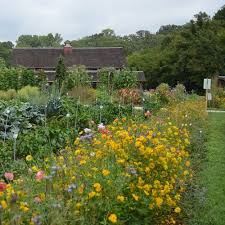 Bee Feed Flower Mix Botanical Gardens Near Me Pollinator Garden Indoor Gardening Kit