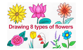 Learn english flower names with pictures different types of. Drawing 8 Types Of Flowers Ms Craftbook