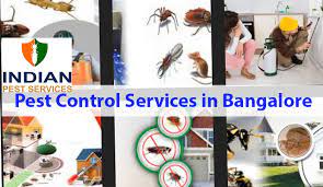 Pest control service dhaka bangladesh cockroaches control service termite control service rodent control mosquito control bed bug control service in dhaka. Pest Control And Clearing Services In Bangalore