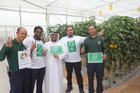 With just over two weeks to go until halloween, spinneys fruit & veg category manager, paul, chats with mohamed al naqbi from elite agro llc to find out how these impressive. Globalg A P On Twitter Globalg A P Around The World Photo Campaign Great Photo Sent By Our Member Elite Agro Fro Abu Dhabi Ggn 4052852604857 Eliteagro Abudhabi Globalgap Https T Co Zds4flnfpb
