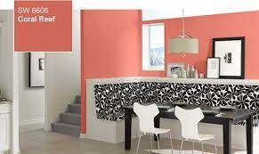 Pin On Deco Coral
