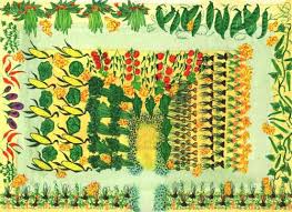 7' 11 x 3' 11. 4 Free Designs To Use When Planning A Vegetable Gardensustainable Gardening Tips