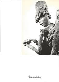 Bildergebnis für Roel D'Haese