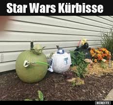 In whatsapp könnt ihr profilbilder mit wenigen schritten speichern. 51 Lustige Bilder Von Star Wars In 2020 Lustig