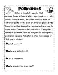 Register online for ncert solutions class 7 science tuition on vedantu.com to score more marks in cbse board examination. Parts Of A Plant Worksheets