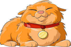 Résultat de recherche d'images pour "chat"