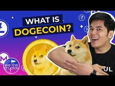 What Is Dogecoin Shiba Inu Dog Cryptocurrency Shiba Inu