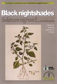 Image result for Solanum grossidentatum