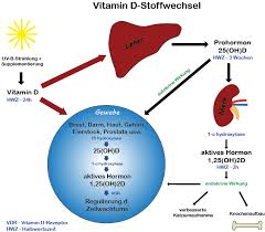 Vitamin D Einnahme Intervall Sonnenallianz