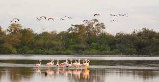Paraguay is a landlocked country in south america bordering argentina, bolivia, and brazil. Paraguay A Beacon State For Forest Management Cifor Knowledge