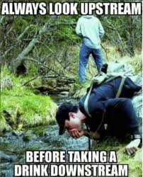 These Outdoor Memes Will Remind You Of What Life Was Like When We Used To Go Outside A Hike Gone Wrong Memes