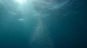 We did not find results for: 70 000 Best Deep Sea Photos 100 Free Download Pexels Stock Photos