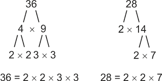 Greatest Common Factor Using Factor Trees Ck 12 Foundation