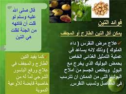 الطب النبوي و التداوي بالاعشاب تعرف على طعام النبي صلى الله عليه وسلم صور body health health food