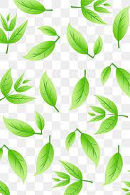 Green Tea Shading Green Green Tea Tea Png And Vector With Transparent Background For Free Download Green Tea Green Tea